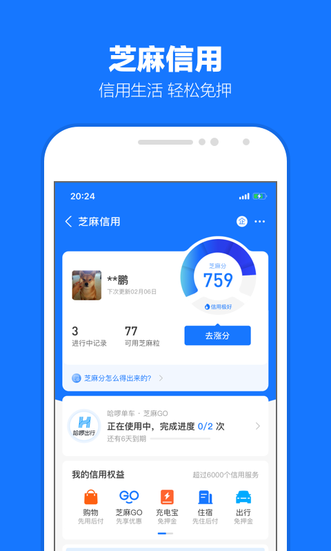 长腿昆虫像蜘蛛截图